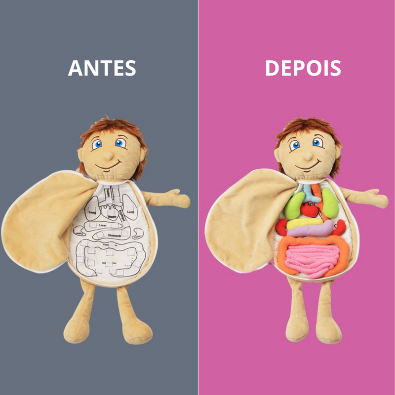 Boneco Anatomia Kids Montessori