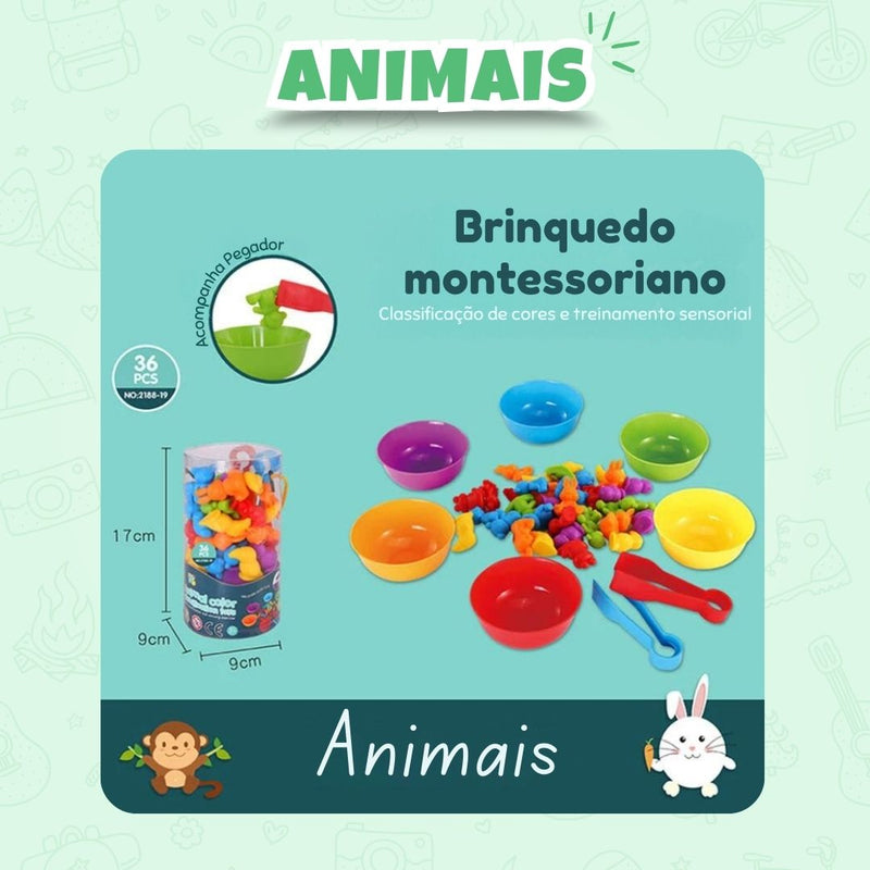 Cores e Formas Montessori