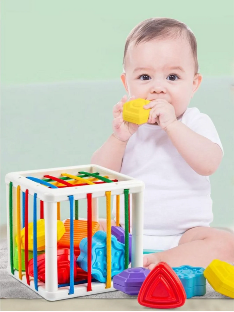 Blocos Educativos Montessori para Bebês - 0 a 12 Meses