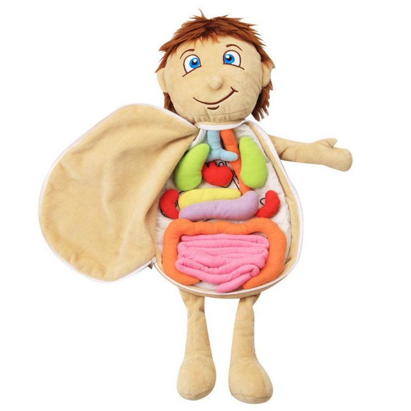 Boneco Anatomia Kids Montessori