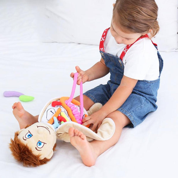 Boneco Anatomia Kids Montessori